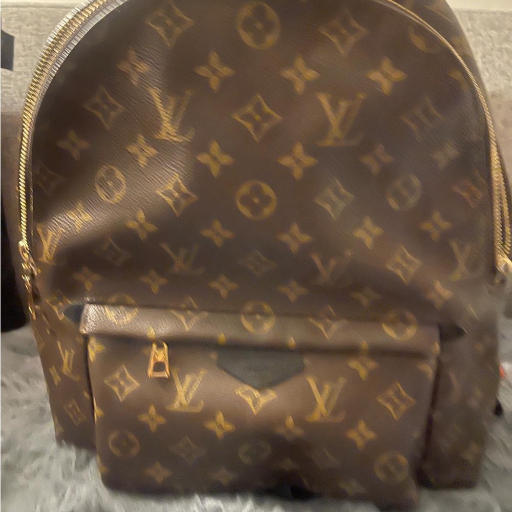 LOUIS VUITTON Monogram Palm Springs PM Backpack LV Auth